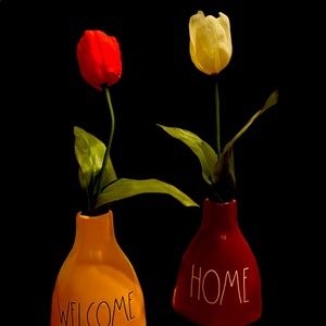 Rae Dunn Flower Bud vases